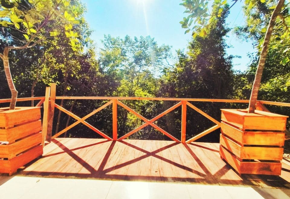 A sunlit wooden deck at Dolubari Eco Resort overlooking the surrounding forest